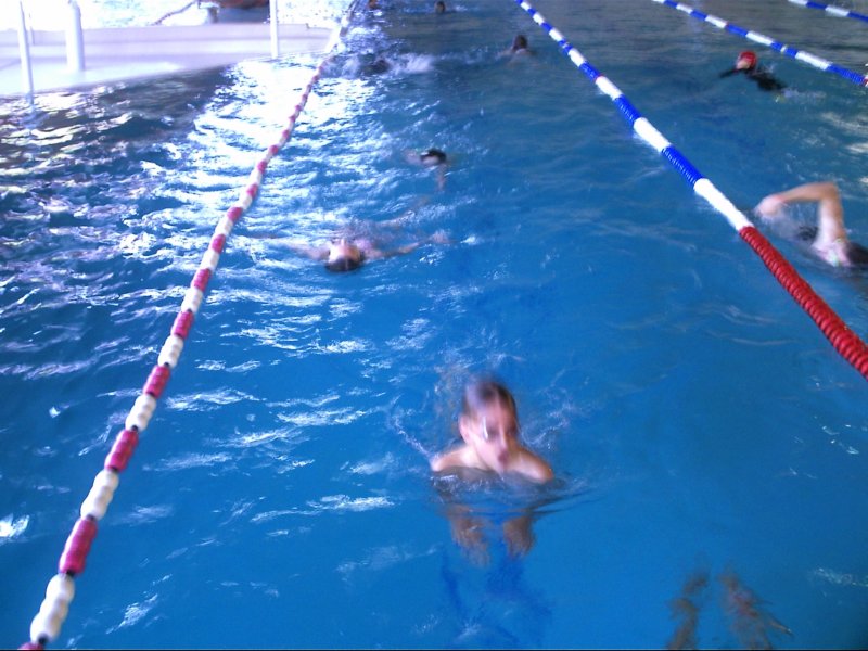 pict0426.jpg
