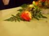 anita0156_small.jpg